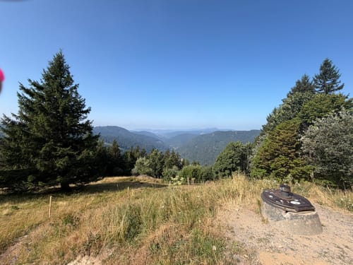 Auf den Feldberg