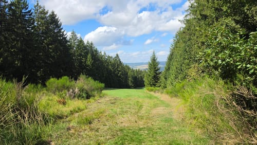 Ölmühlentour (Traumschleife)