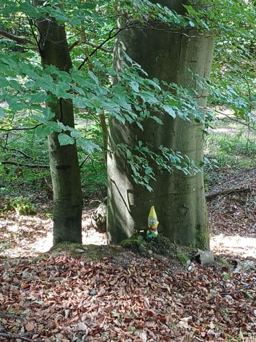 Licherode Rundwanderung L4