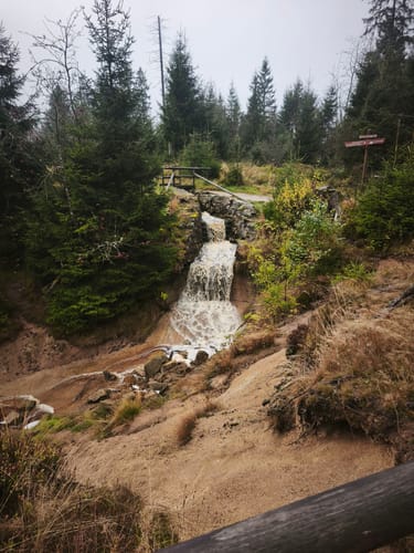 Rundwanderweg Oderteich
