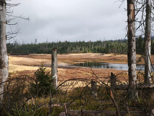 Rundwanderweg Oderteich