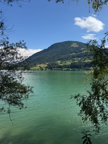 Vom Alpsee zur Siedelalpe