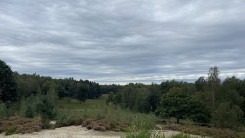 Wahner Heide