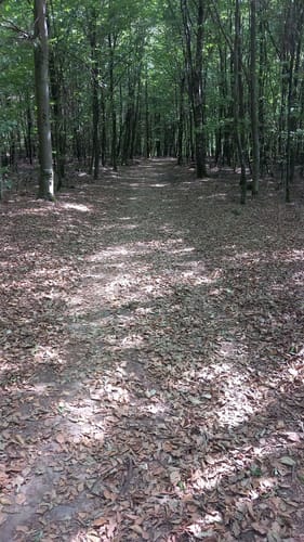 Cloef-Pfad (Traumschleife)