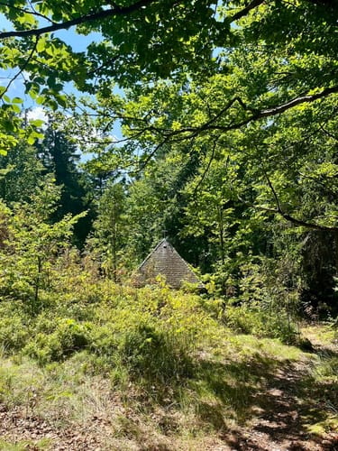 Großer Rabenberg ab Silberhütte