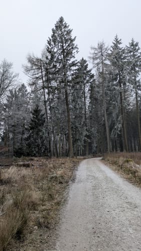 Neu-Anspach nach Hegeweise