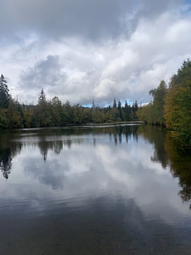 Braunlage - Schloßkopf - Silberteich