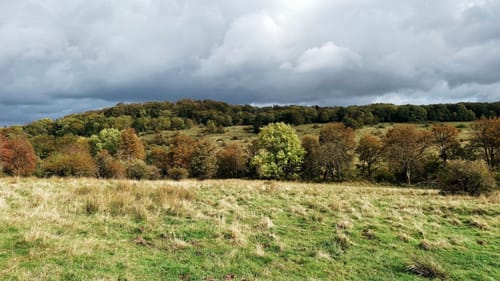 Habichtswaldsteig Etappe 1: Zierenberg - Firnsbachtal