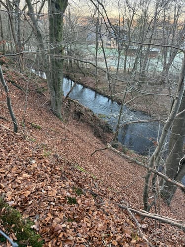Forêt de Membach