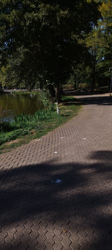 Deutscher-Französischer Garten