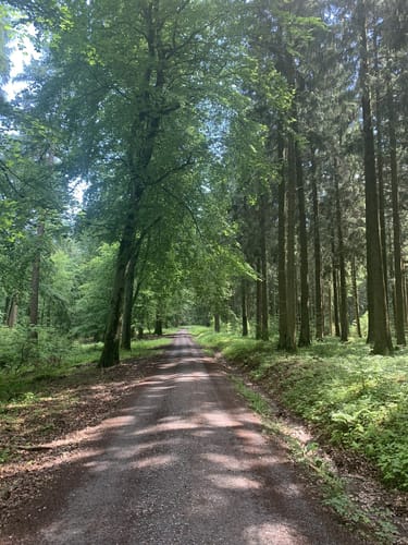 Dossenheim, Weißer Stein, und Thingstätte