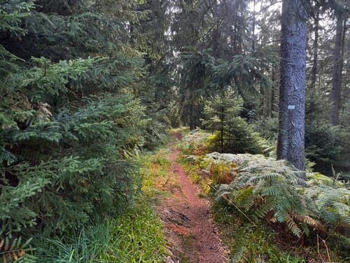 MTB Höhenluft