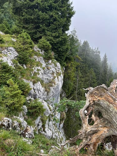 Benediktenwand ab Jachenau