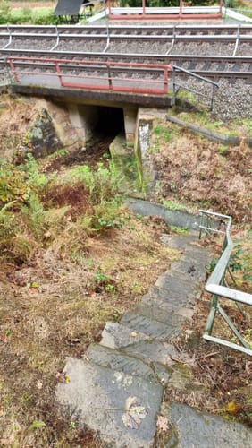 Krippen Rundweg Gelber Punkt