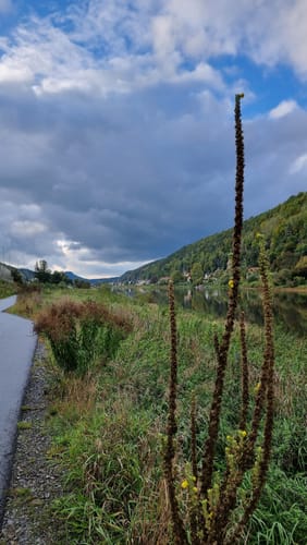 Krippen Rundweg Gelber Punkt