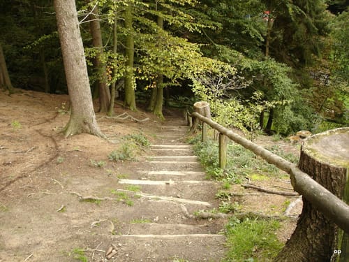 Rundwanderweg 3 Bad Nenndorf