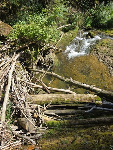 Eistobel: Oberer Wasserfall am Eissteg