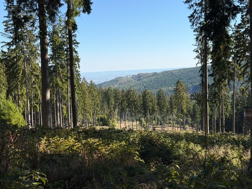 Großen Feldberg