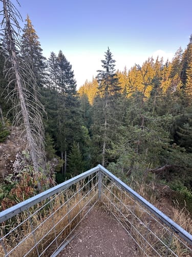 Wutenbachschlucht und Rotenbachschlucht Runde aus Holzschlag