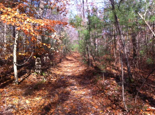 Franklin State Forest Trail Map