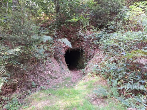 Litermont Sagenweg (Traumschleife)