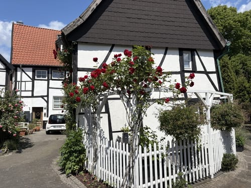 Auf gräflichen Spuren in der Löchterheide