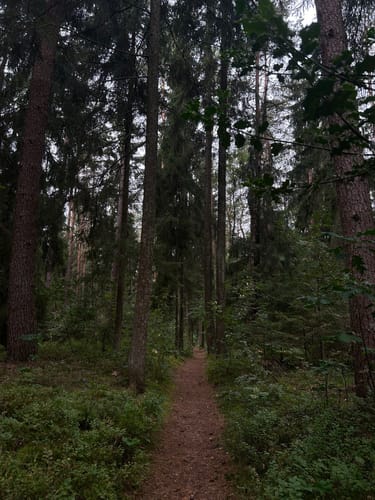 Oberhaverbeck - Suhorn - Wulfsberg