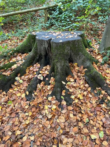 Kleine Felsenmeerrunde