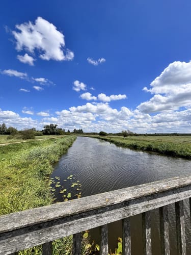 Wanderweg Dümmerdeich