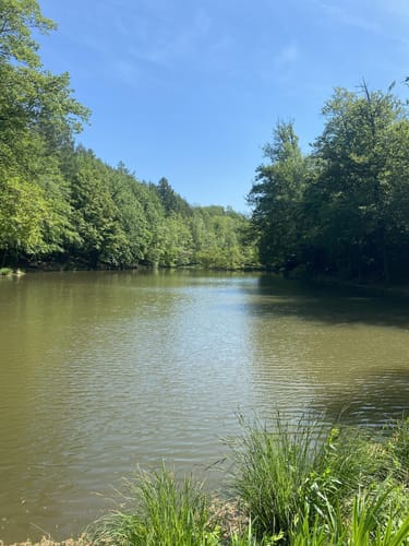 Hardt ab Bamberg