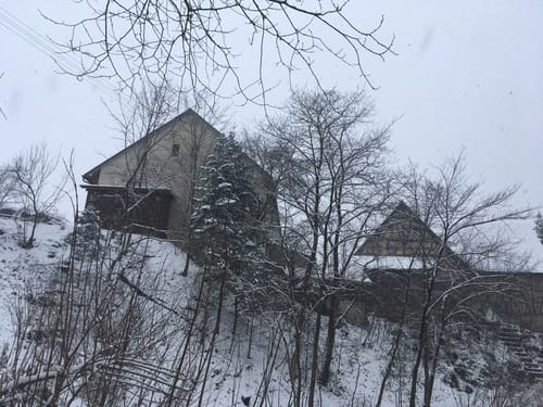 Zur Burg Reichenstein entlang dem Wolfstal
