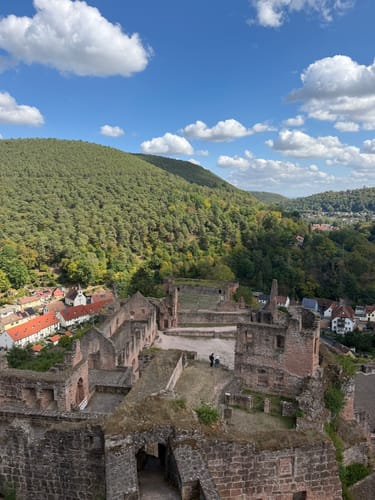Vom Schlangenweiher zum Dreispitz