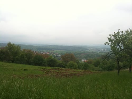 Runde zum Steinbruch Dietlingen