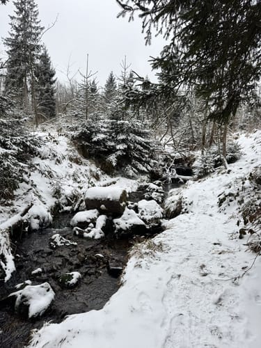 Rund um den Rehberg