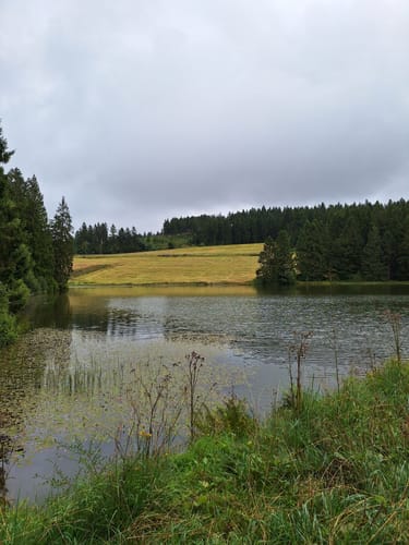 Liebesbankweg (Premiumwanderweg)