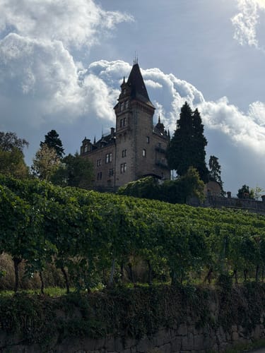 Ortenauer Sagenrundwege: Kutzenstein
