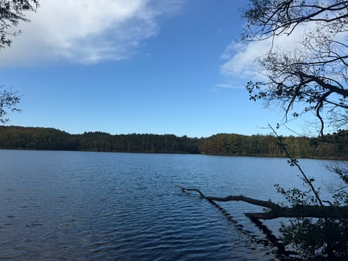 Liblar Ober-, Mittel- und Untersee