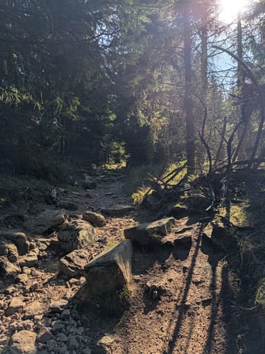 Rund um Oderbrück