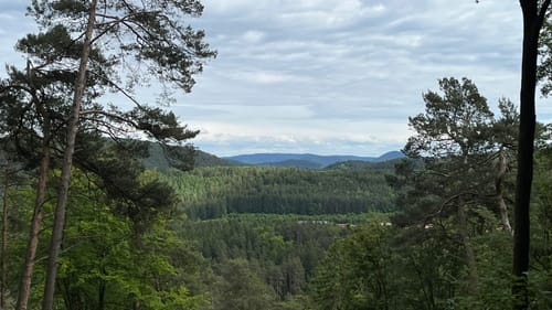 Hinterweidenthaler Teufelstisch-Tour (Premiumwanderweg)