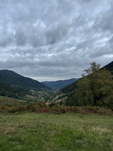 Durch das Simonstal zu den Zweribachwasserfällen