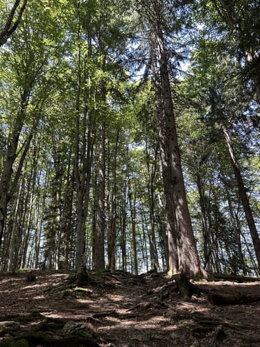 4-Gipfel-Tour zwischen Schliersee und Tegernsee