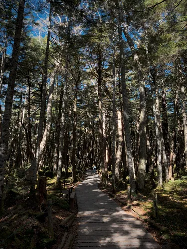 Mount Shimagare - hikes and trails to get you there | AllTrails