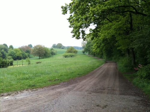 Runde zum Steinbruch Dietlingen