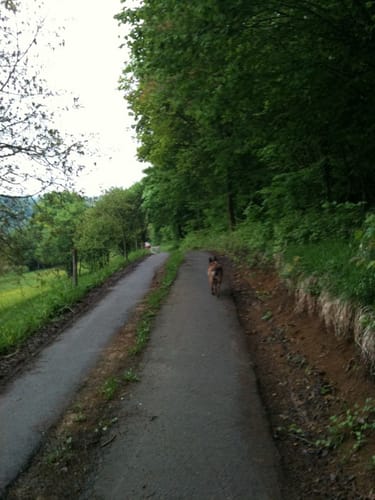 Runde zum Steinbruch Dietlingen