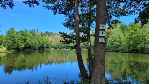Selketal-Stieg Etappe 1: Stiege - Alexisbad