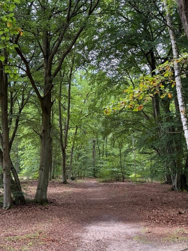 Von Borgsdorf nach Birkenwerder durchs Briesetal
