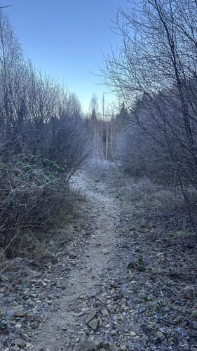 Brocken via Heinrich-Heine-Weg