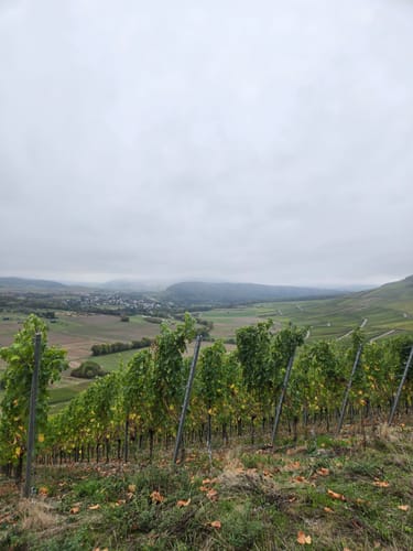 Klosterweg Kloster Machern