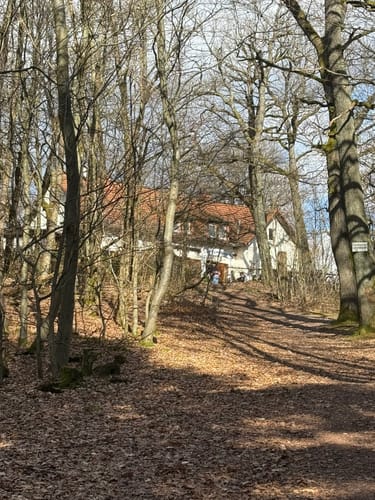 Alzenau 2 : Wald und Wallfahrt
