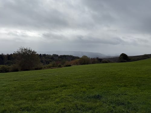 Rursee: Schöne Aussicht